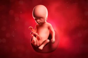 Baby Yum Yum - Pregnancy at 17 weeks