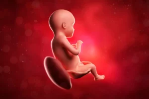 Baby Yum Yum - Pregnancy at 28 weeks