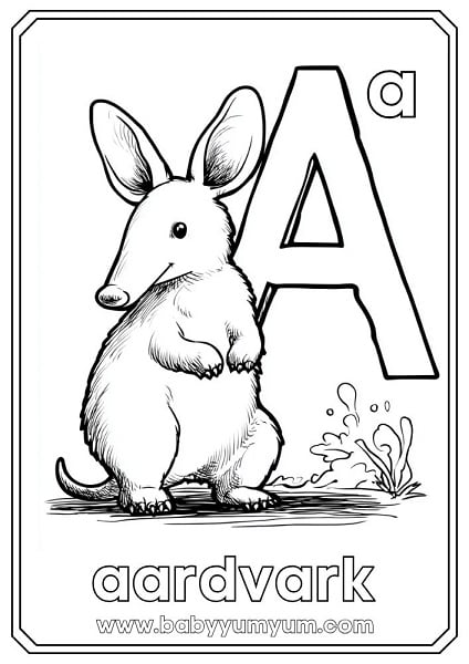 A – Aardvark This shy, nocturnal animal uses its long tongue to eat ants and termites. It has big ears and a snuffly nose, perfect for sniffing out bugs underground.