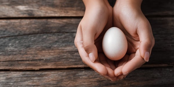 Age, Eggs and Fertility: What Science Says