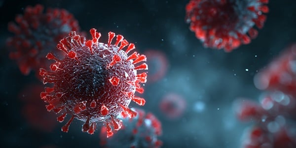 Nipah Virus Explained: Why Health Experts Are Paying Attention