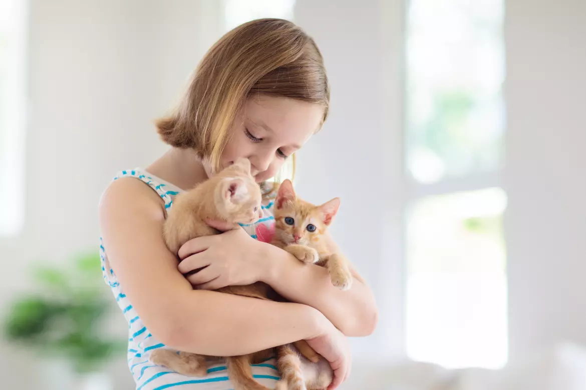 Baby Yum Yum - What parents can do to encourage a strong immune system and a healthier child
