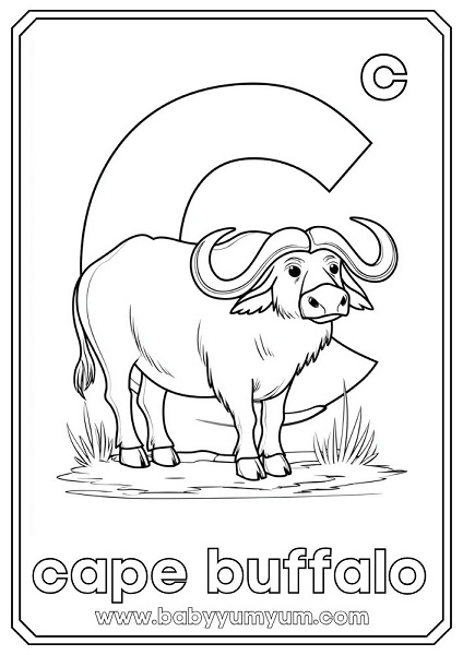 C – Cape Buffalo One of the famous Big Five, this strong and stocky animal has curved horns and travels in herds. It’s known for being tough and protective.