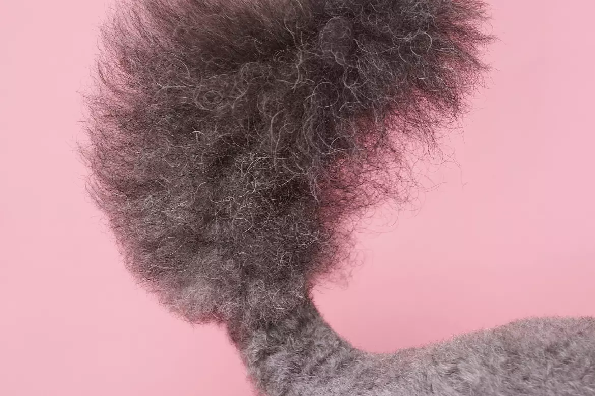 Children and Animals At Risk - BabyYumYum