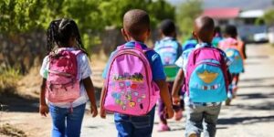 How to Avoid Bogus Schools in South Africa A Guide for Parents and Guardians mp3 image - BabyYumYum