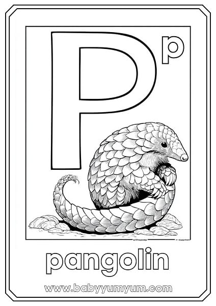 P – Pangolin This rare, scaly mammal is covered in protective armour and eats ants with its long tongue. When scared, it rolls into a tight ball.