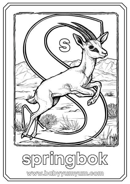 S – Springbok Our national animal! Known for its “pronking” leaps, the springbok is fast and graceful. You can even see them on South Africa’s rugby logo