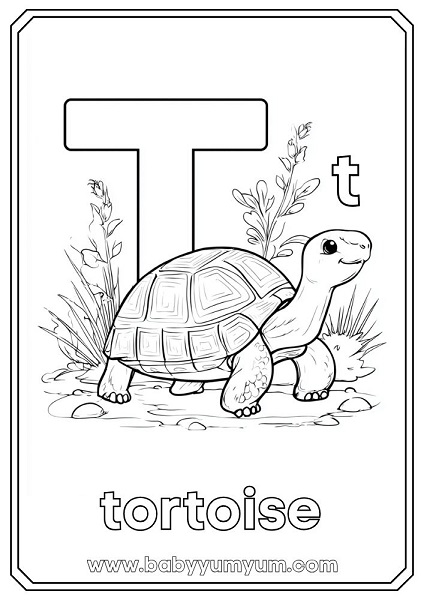 T – Tortoise Tortoises move slowly and carry their home on their back. They can live a long time and love basking in the sun.