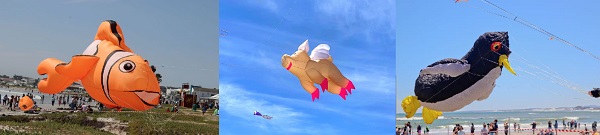 October is mental health awareness month worldwide, and for the past 30 years, the Cape Town International Kite Festival's annual activations have played a significant role in allowing people to speak freely, without fear of labels, about their mental health.