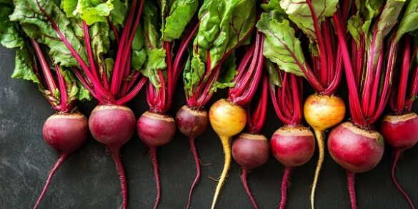 Vibrant South African Beetroot Salad: A Fresh and Colourful Delight ...