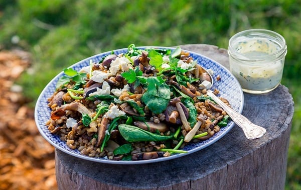 Wild Mushroom and Barley Salad
