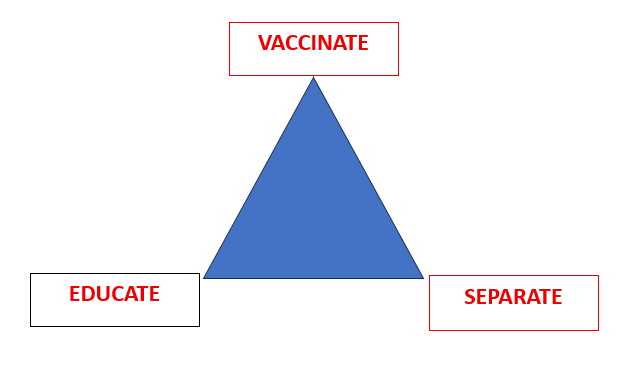 Triangle diagram showing three approaches to preschool infection prevention: vaccinate, educate and separate.