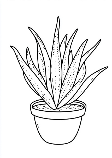simple_line_art_of_Aloe_Vera_plant_childrens_colour